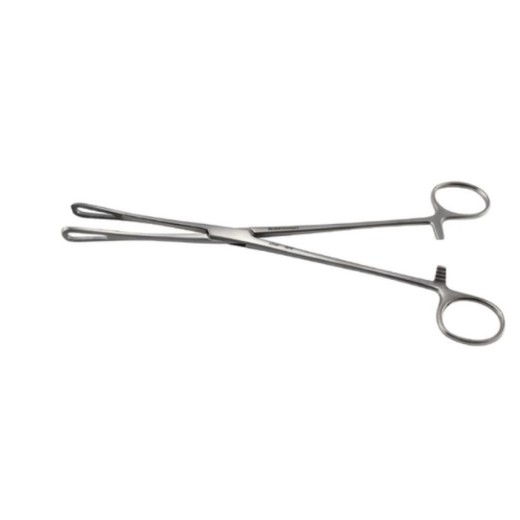 Picture of Rampley Sponge Forceps 18cm Armo