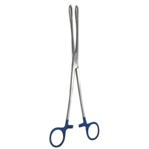 Picture of Rampley Sponge Forceps 25cm  Sayco - Single Use Sterile