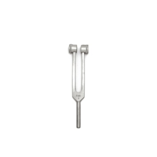 Picture of Tuning Fork 256 Hz With Weights Armo