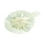 Picture of Tegaderm Foam Adhesive 10 X 11cm Dressing Oval