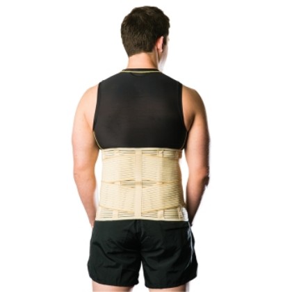 Picture of Ortho 12" Sacro Lumbar Support