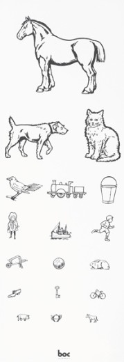 Picture of Eye Chart Direct 6m Animals