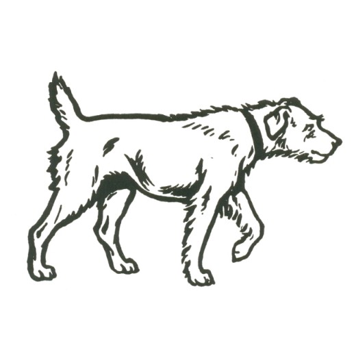 Picture of Eye Chart Direct 6m Animals