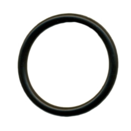 Picture of Ear Syringe O-Ring For Plunger Armo
