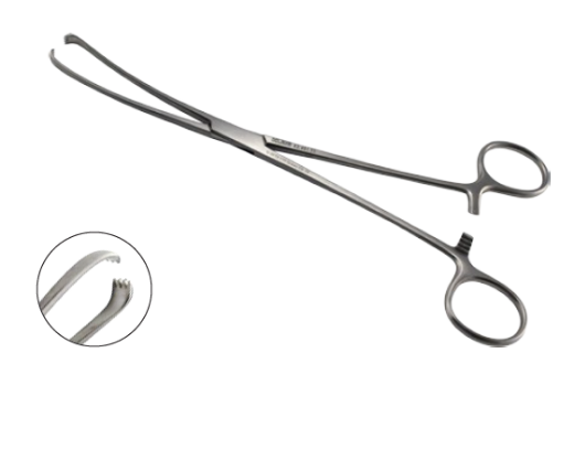 Picture of Teale Vulsellum Forceps Curved 25cm Armo