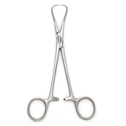 Picture of Towel Clip Backhaus 9cm Armo