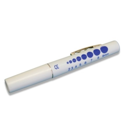 Picture of Torch Penlight Standard
