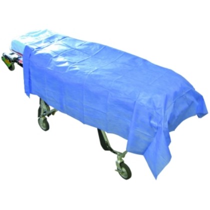 Picture of Large Disposable Modesty Sheet Flat 200x120cm 25gsm Dark Blue