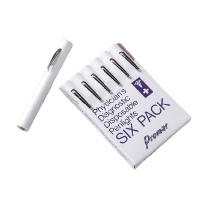 Picture of Torch Disposable - Single Unit