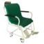 Picture of Electronic Weighing Chair Scale 250kg