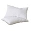 Picture of Pillow Cotton Covered Medium