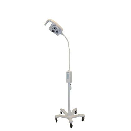 Picture of Welch Allyn GS600 Minor Procedure Light With Mobile Stand